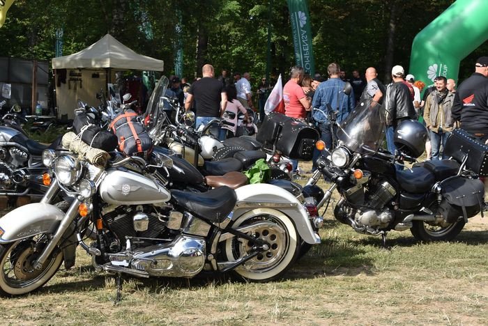 harley-to-jest-to-82638