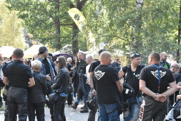 harley-to-jest-to-82638