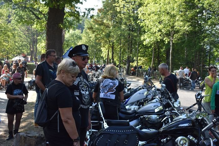 harley-to-jest-to-82638