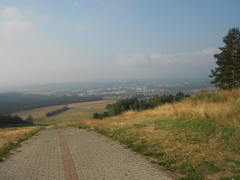 bezpieczne-wakacje-zajec-ciag-dalszy-82643