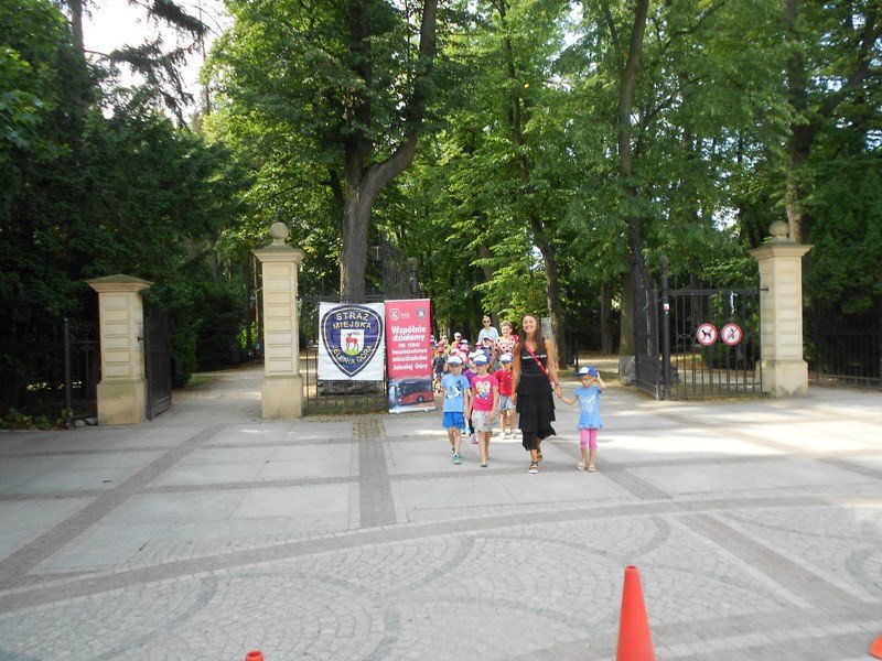 bezpieczne-wakacje-zajec-ciag-dalszy-82643