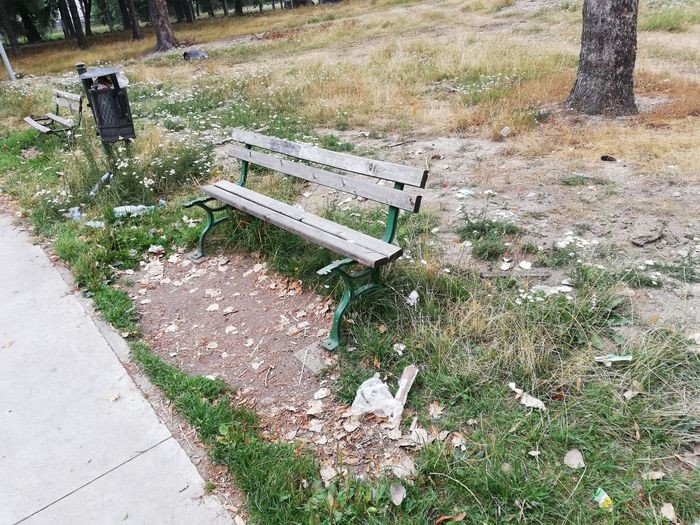 co-dalej-ze-skateparkiem-82662
