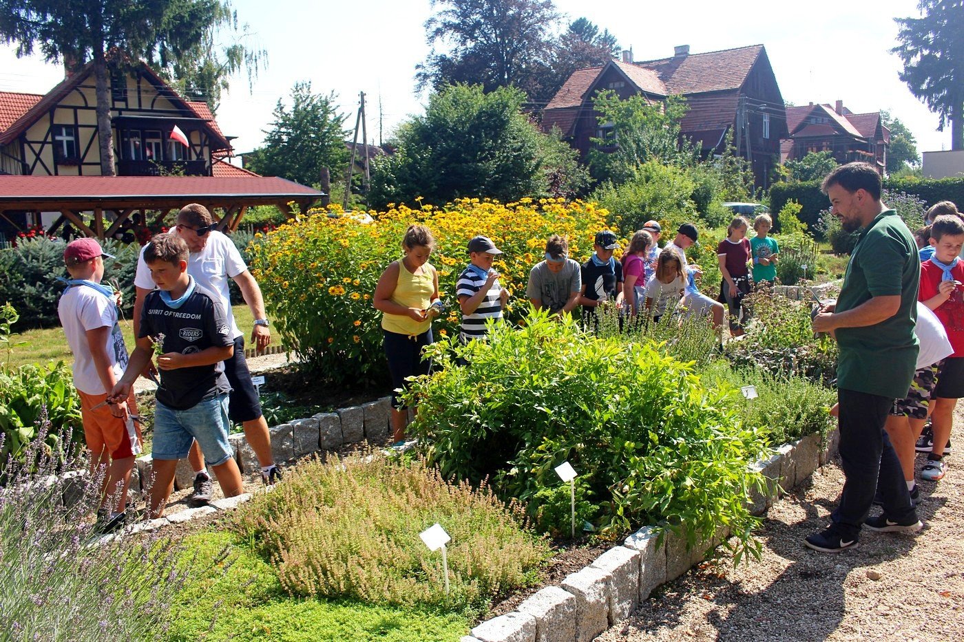 wielki-dzien-pszczo-82723