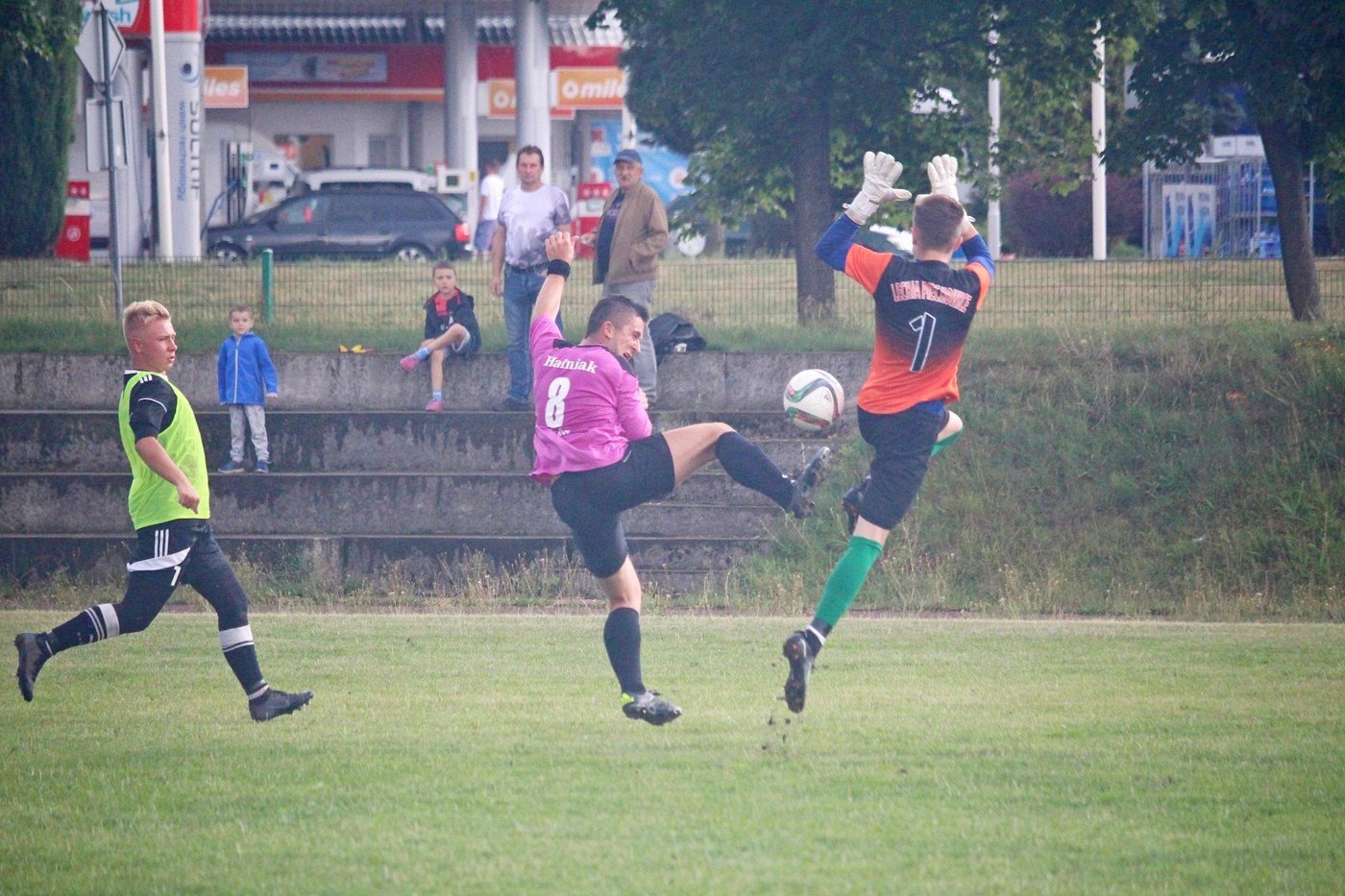 lechia-skromnie-z-halniakiem-82747