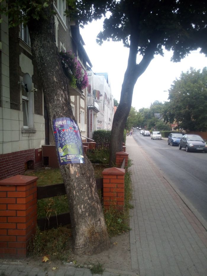 czytelnik-drzewa-to-nie-supy-ogoszeniowe-82750