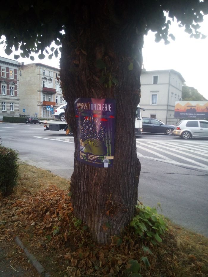 czytelnik-drzewa-to-nie-supy-ogoszeniowe-82750