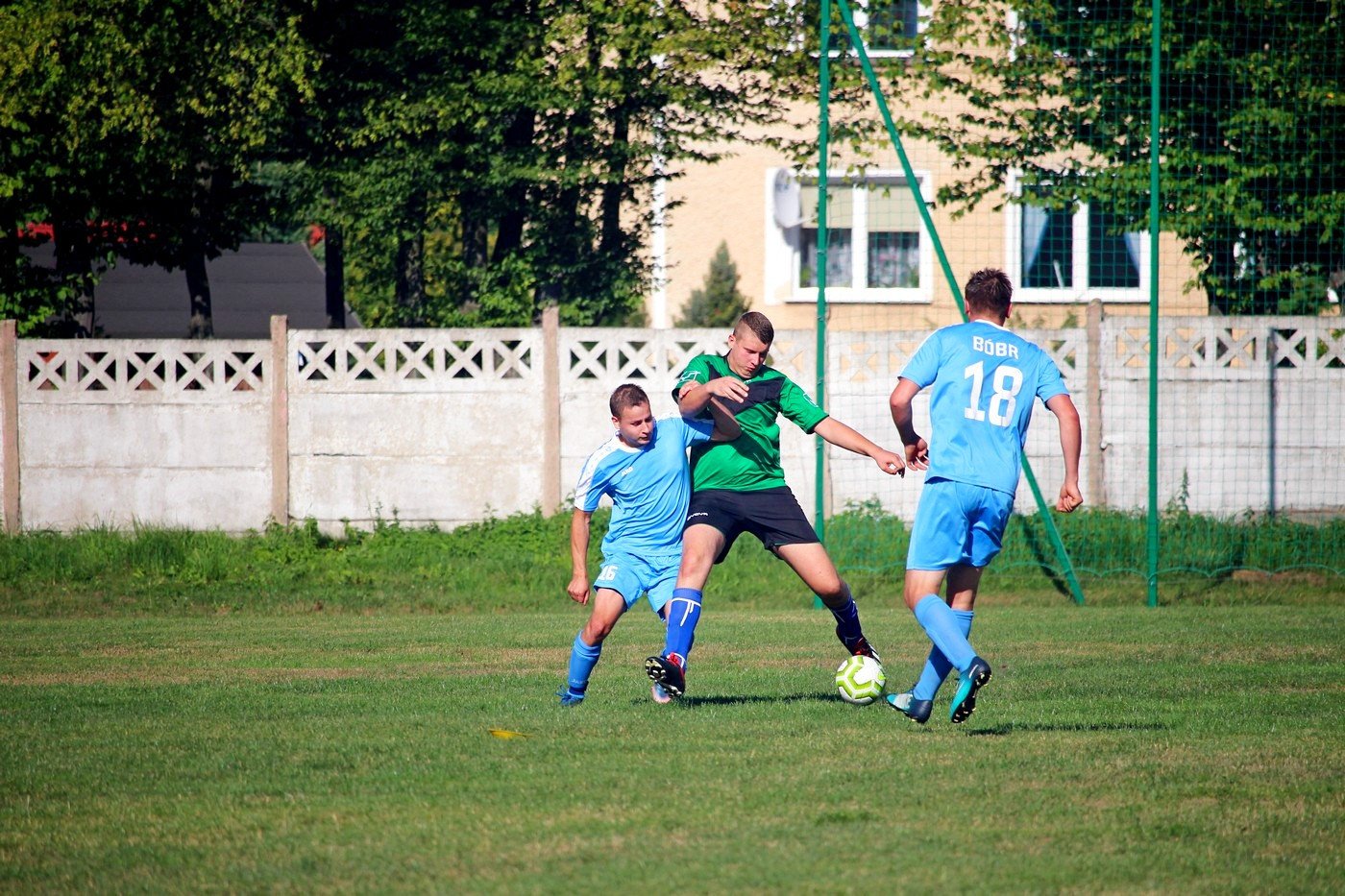 sparing-rudawybobr-82756