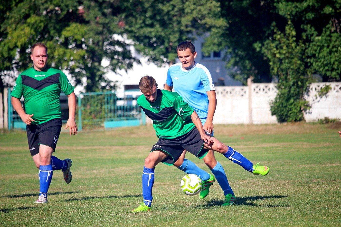 sparing-rudawybobr-82756