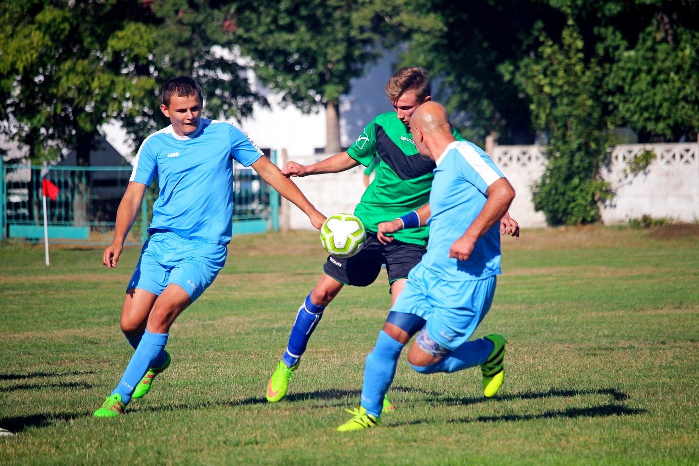 sparing-rudawybobr-82756