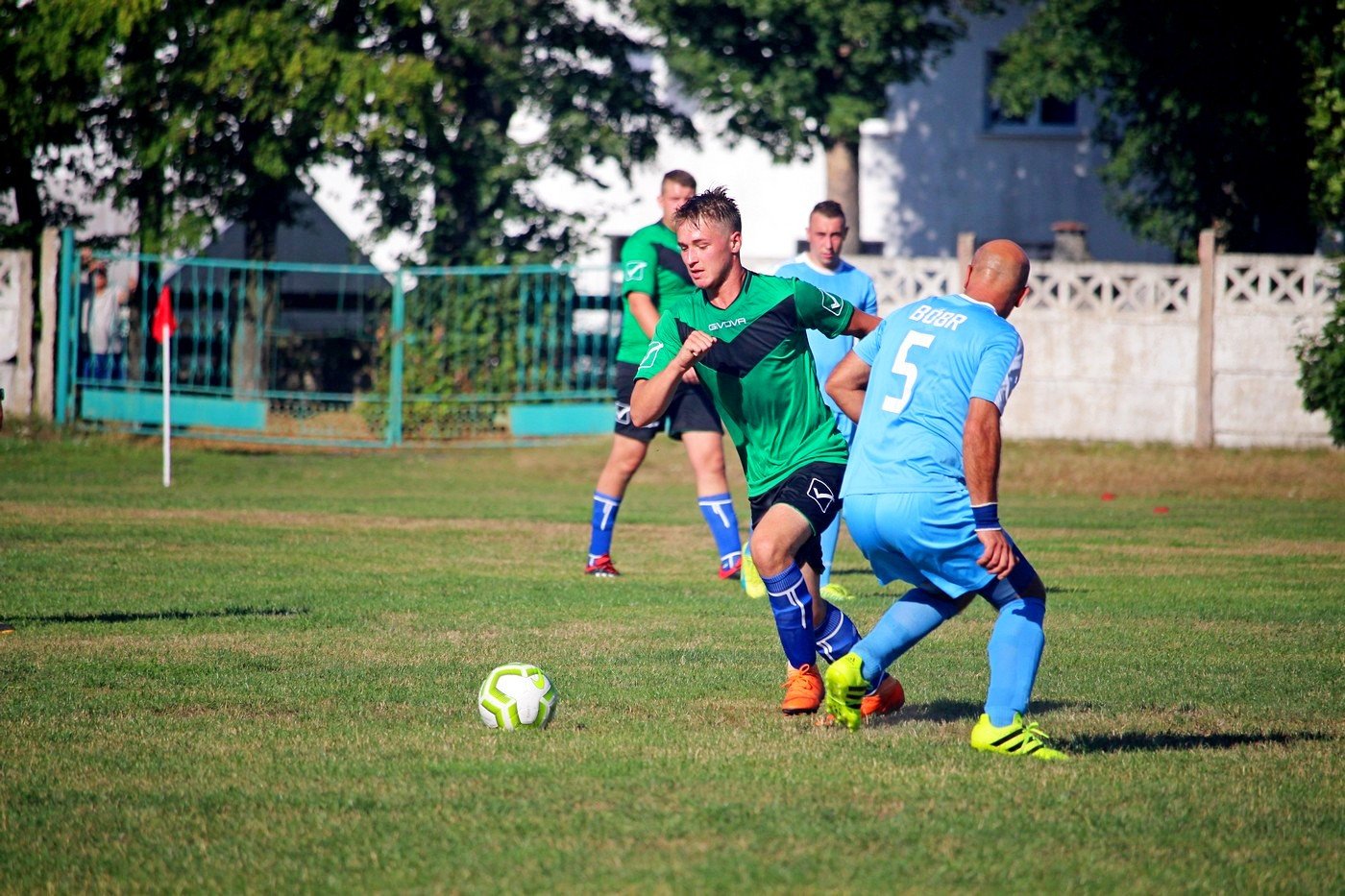 sparing-rudawybobr-82756