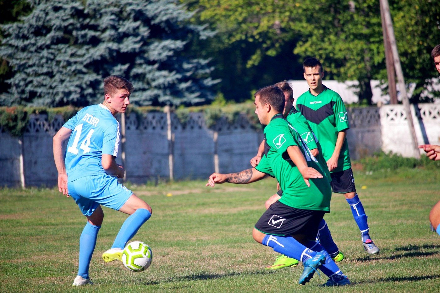 sparing-rudawybobr-82756