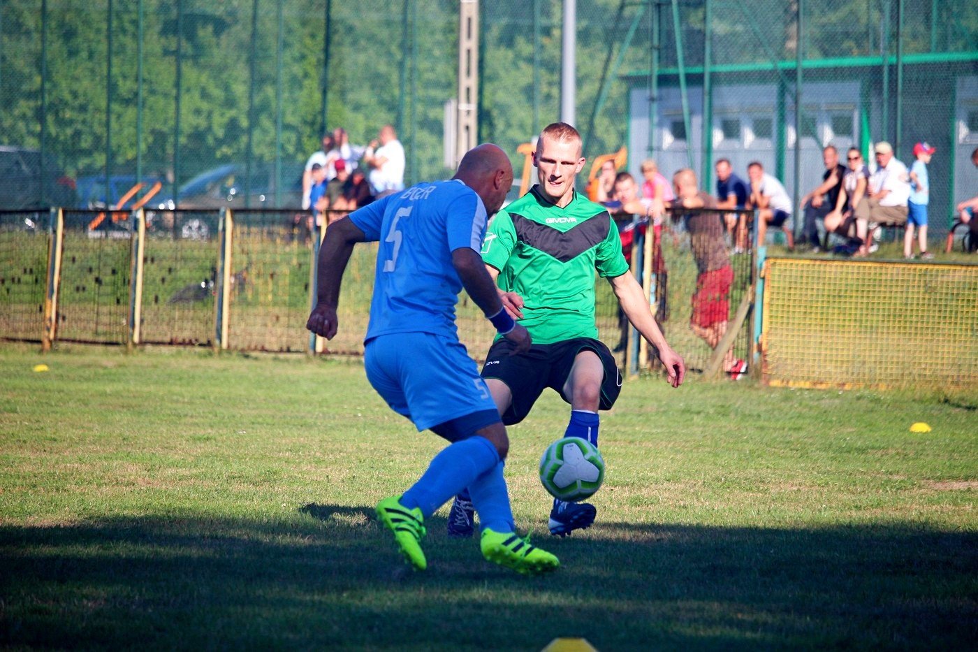 sparing-rudawybobr-82756
