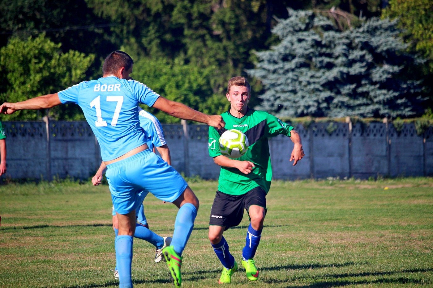 sparing-rudawybobr-82756