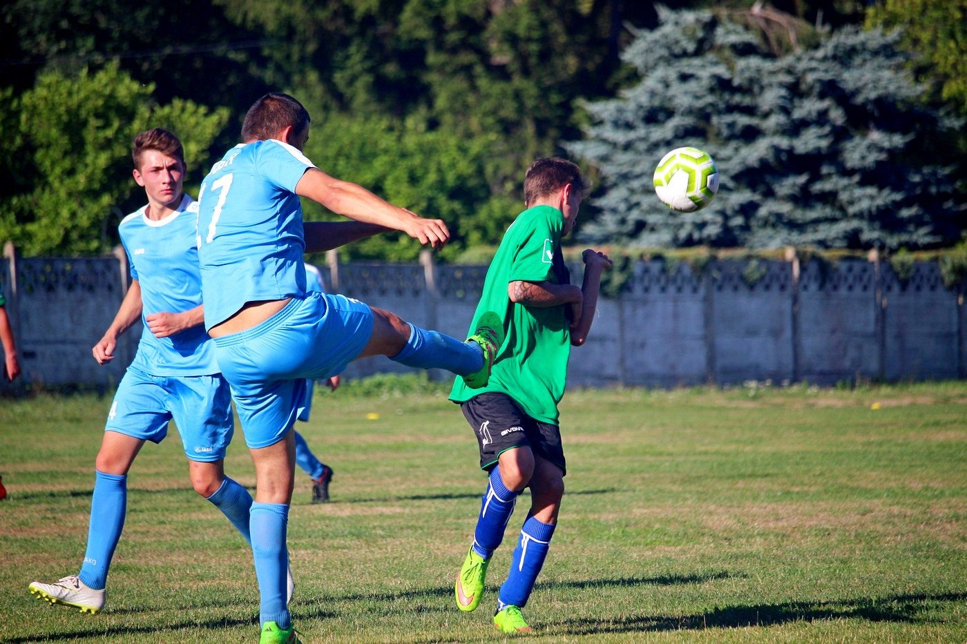 sparing-rudawybobr-82756