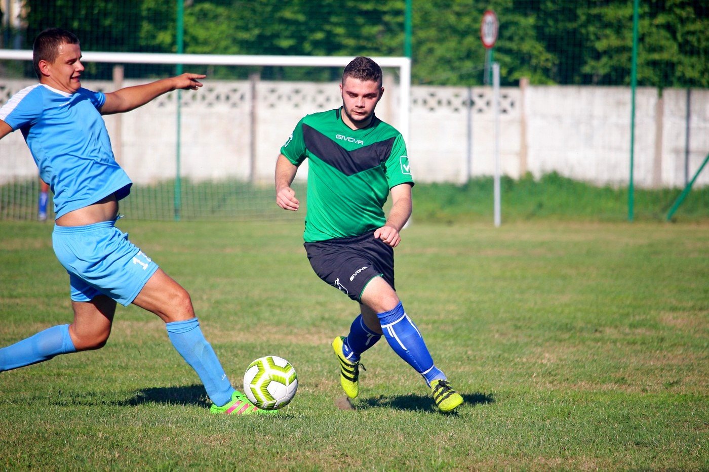 sparing-rudawybobr-82756