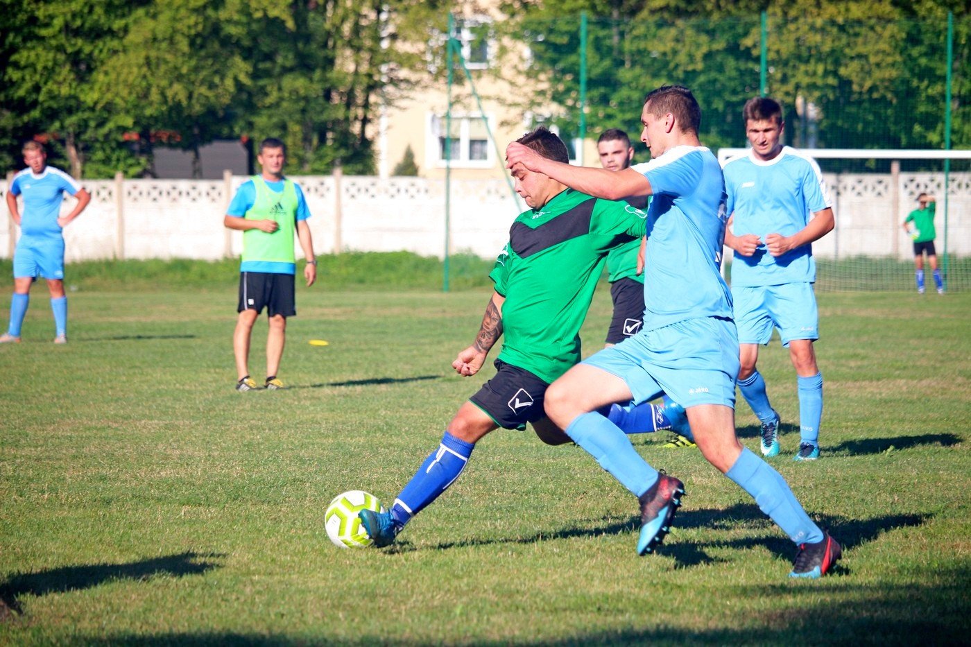 sparing-rudawybobr-82756
