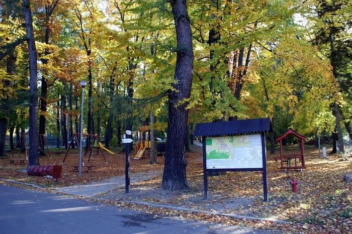 poznaj-kowarska-przyrode-82784