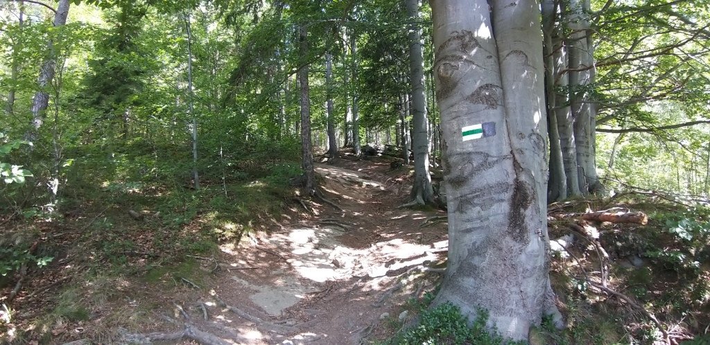 na-chojnik-z-jagniatkowa-82799