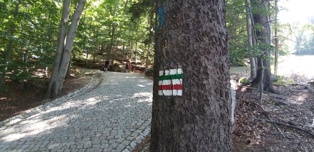 na-chojnik-z-jagniatkowa-82799