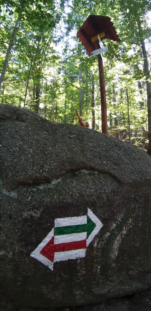 na-chojnik-z-jagniatkowa-82799