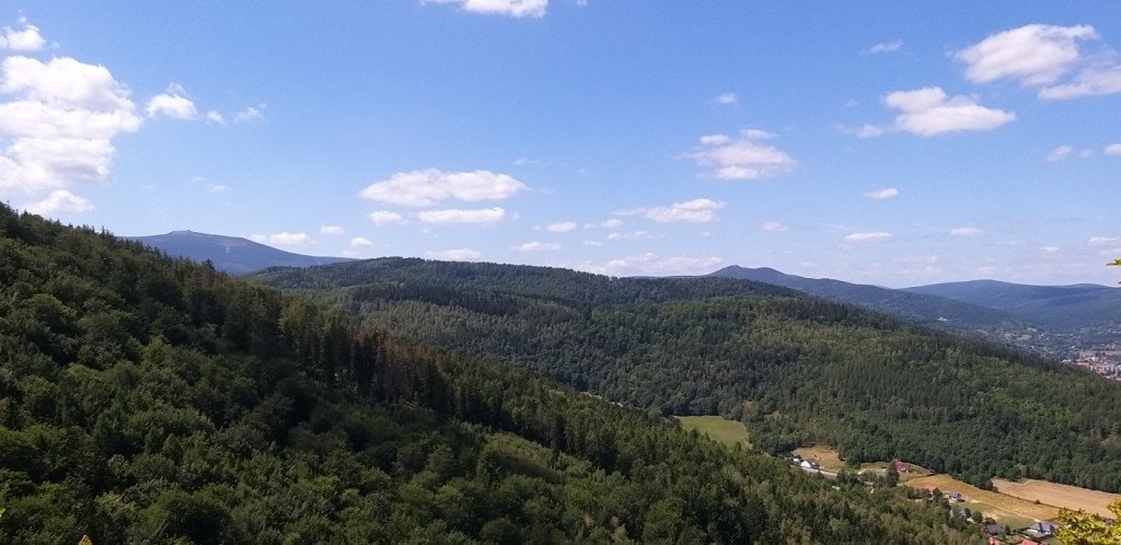 na-chojnik-z-jagniatkowa-82799