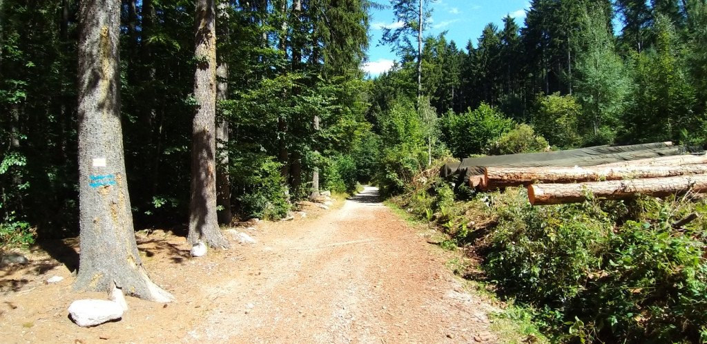 na-chojnik-z-jagniatkowa-82799