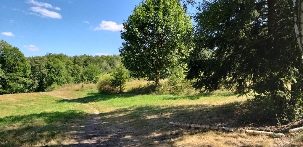 na-chojnik-z-jagniatkowa-82799