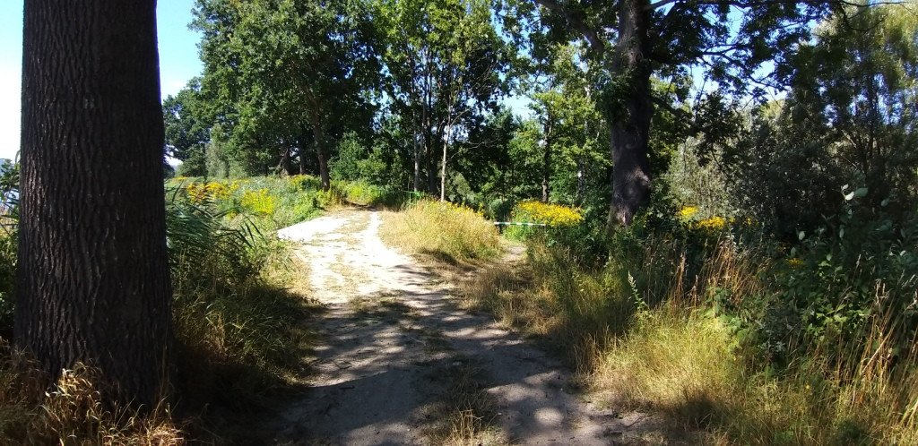 na-chojnik-z-jagniatkowa-82799