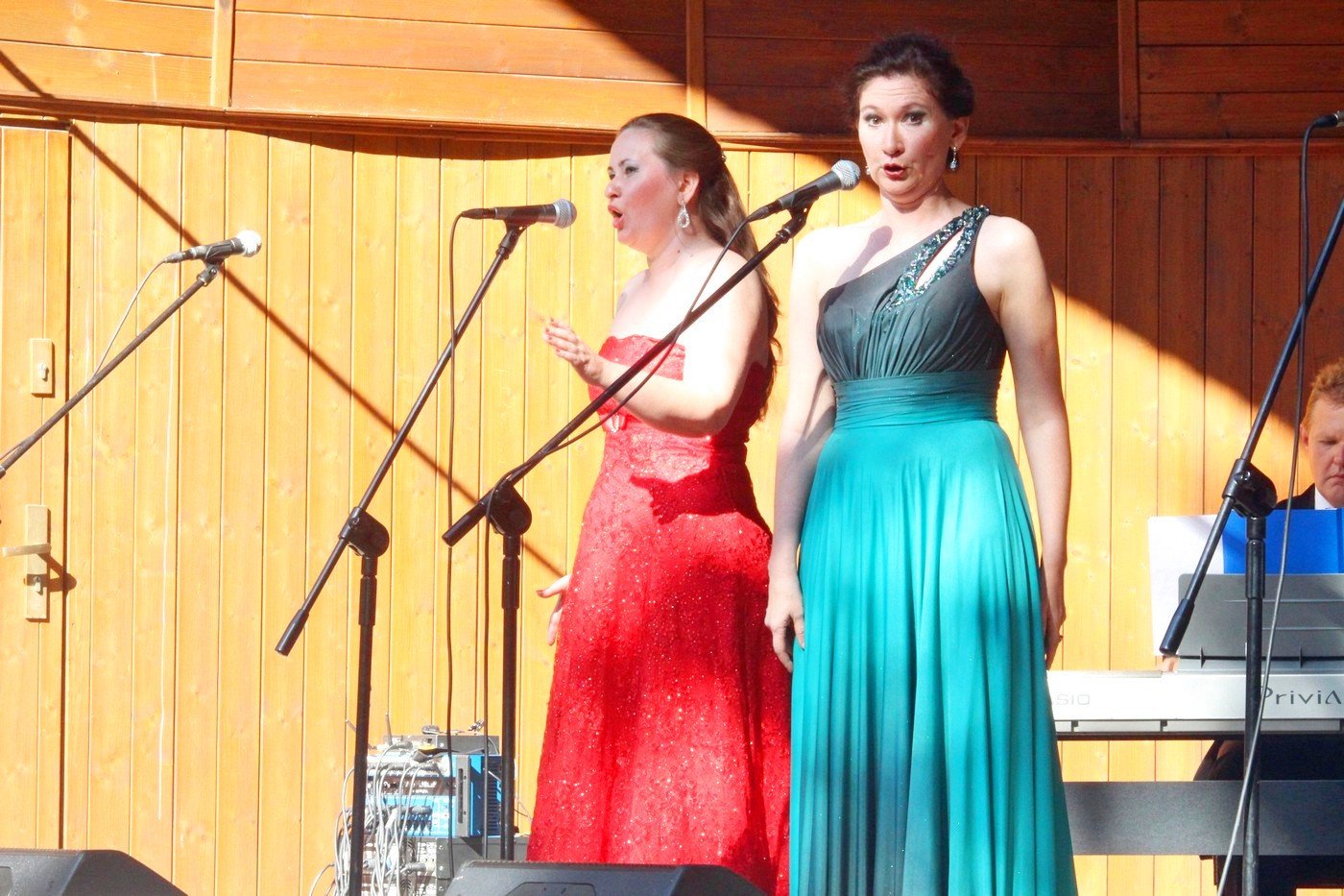 muzyczny-ogrod-liczyrzepy-w-parku-zdrojowym-82858