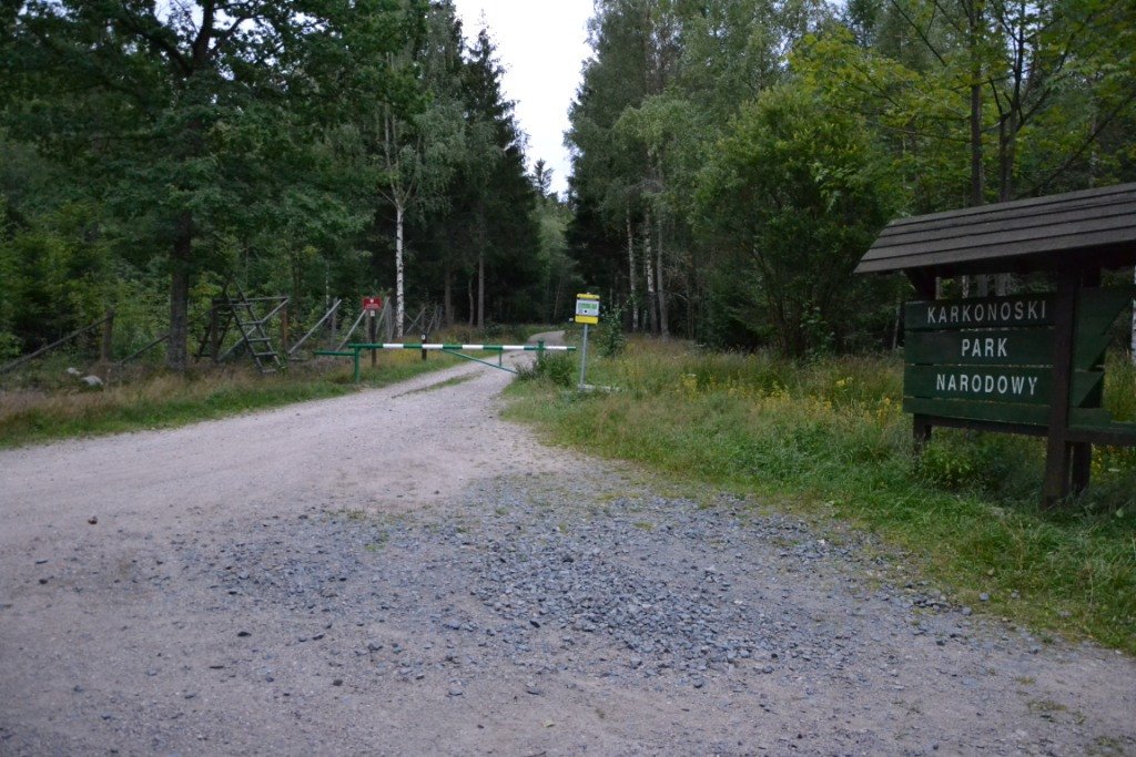 nad-snieznymi-kotami-82904