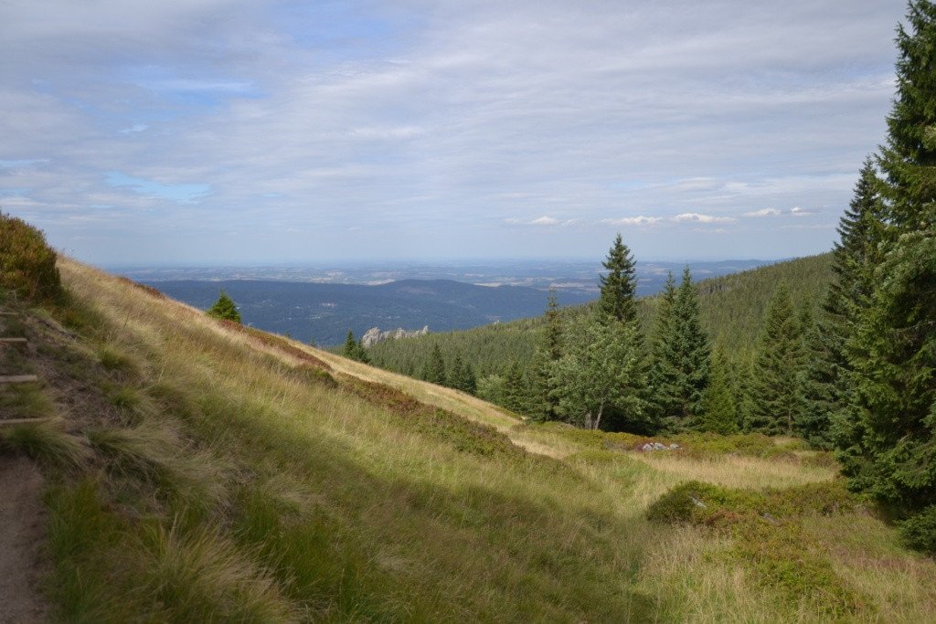 nad-snieznymi-kotami-82904