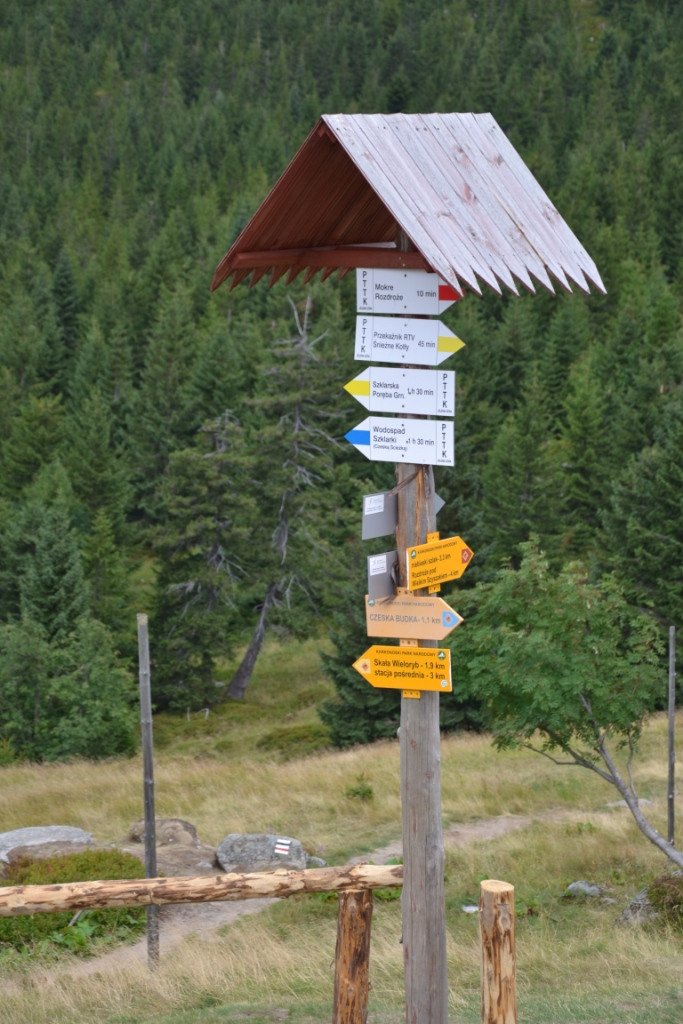nad-snieznymi-kotami-82904
