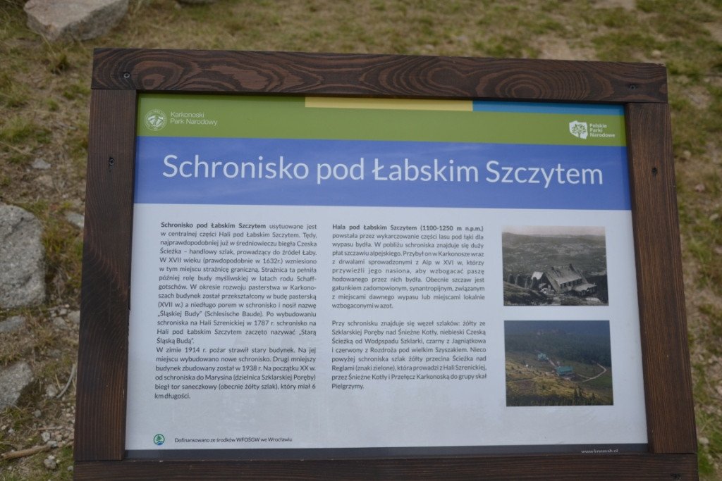 nad-snieznymi-kotami-82904