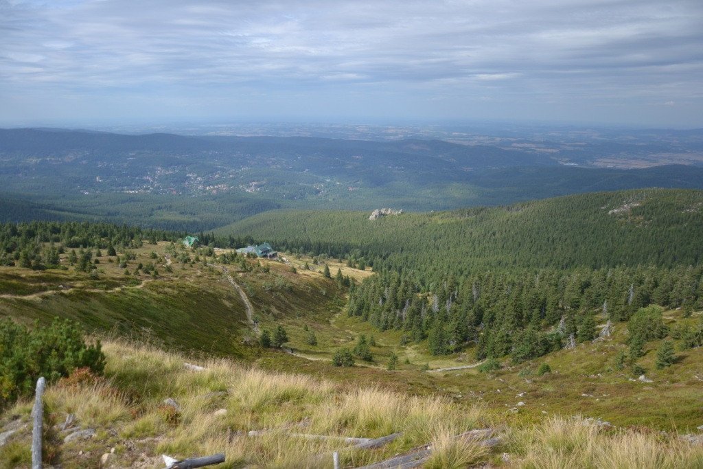 nad-snieznymi-kotami-82904