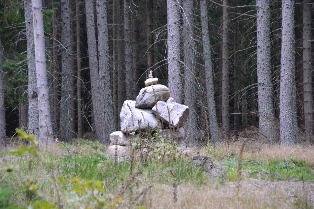 nad-snieznymi-kotami-82904