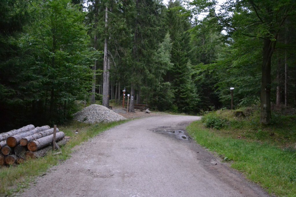 nad-snieznymi-kotami-82904
