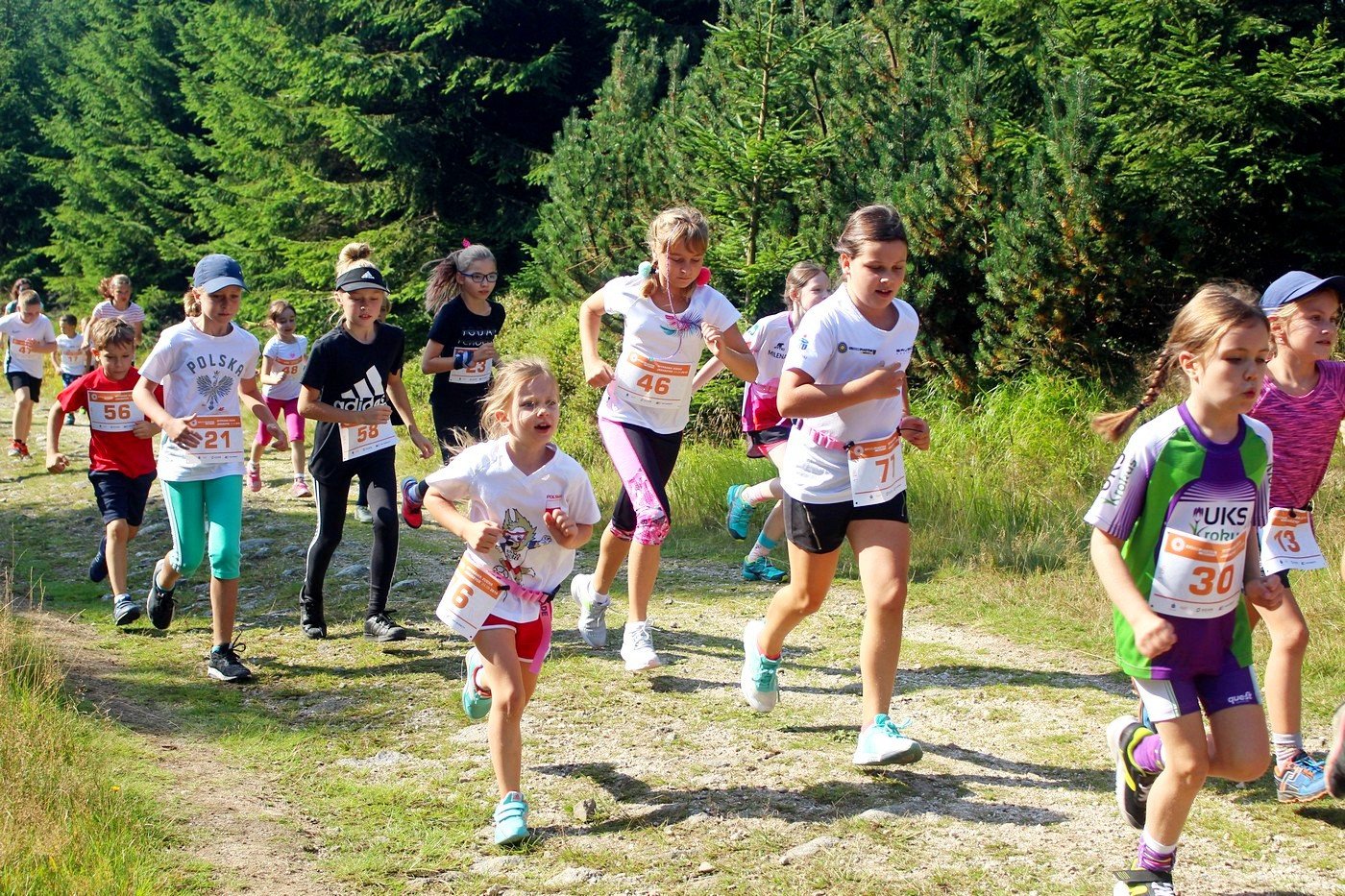 letni-bieg-piastow-82944