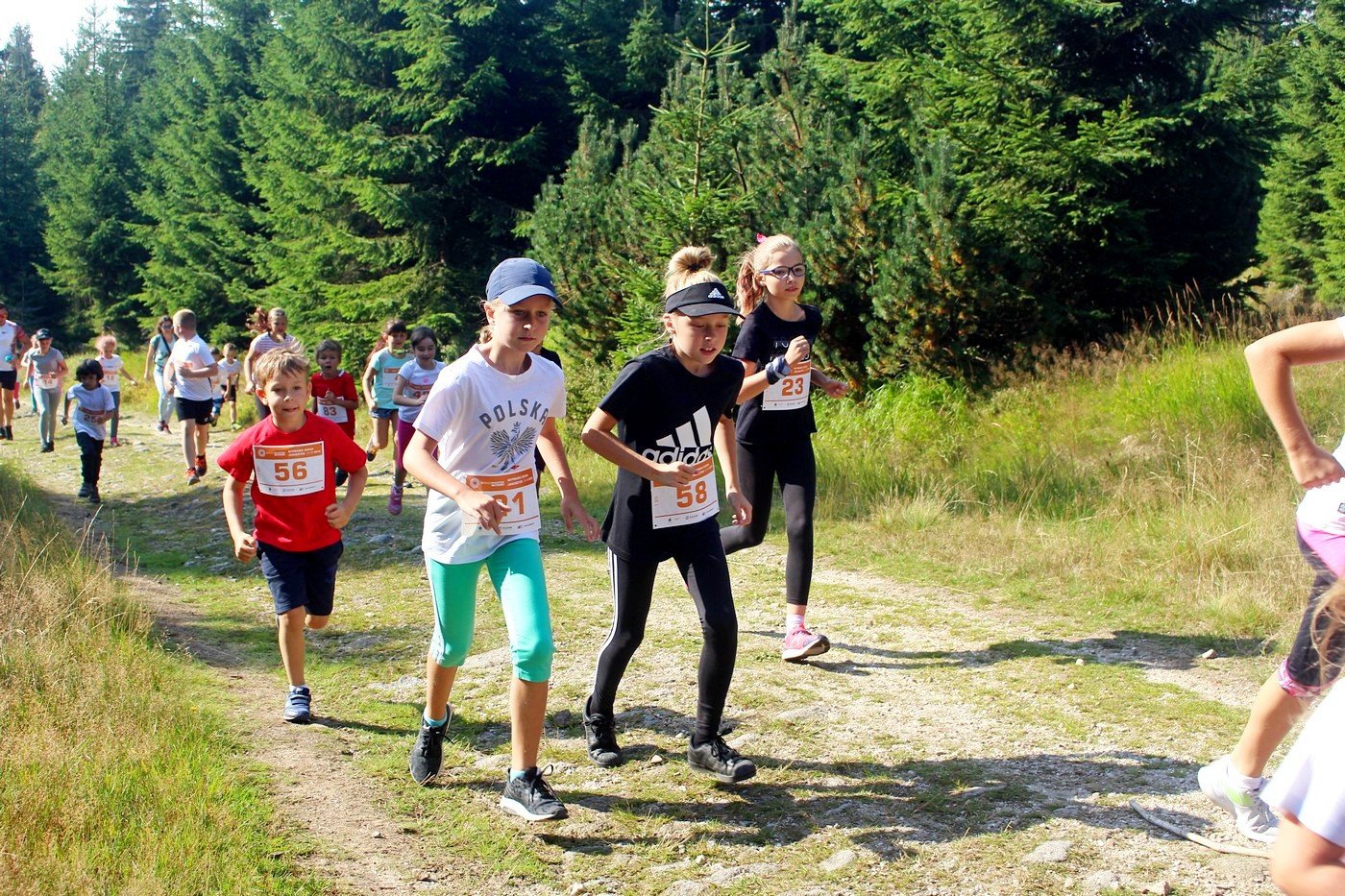 letni-bieg-piastow-82944