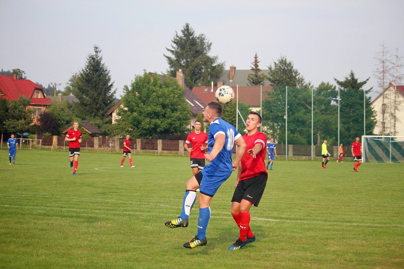apis-o-klase-lepszy-82951