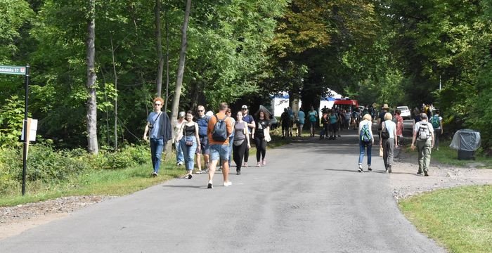 tumna-miedzianka-fest-82953
