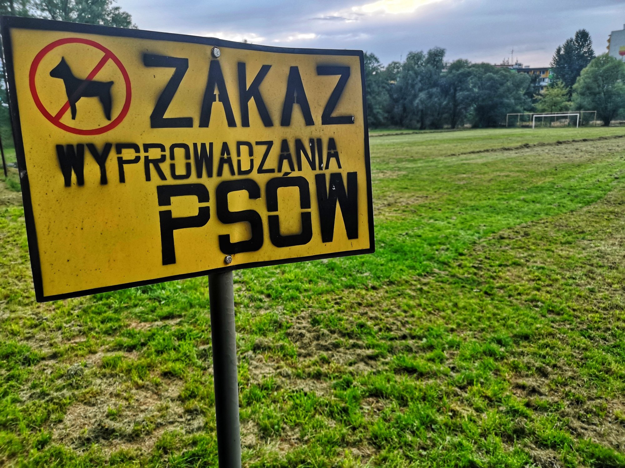 boisko-na-zabobrzu-83155
