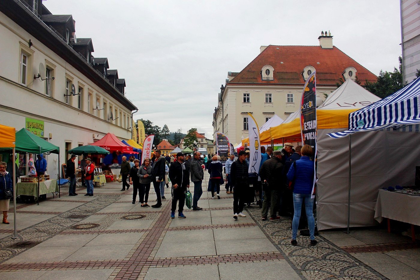 miodowe-cieplice-83206