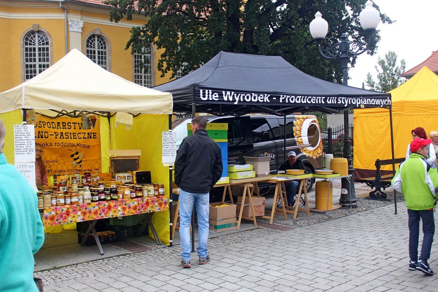 miodowe-cieplice-83206