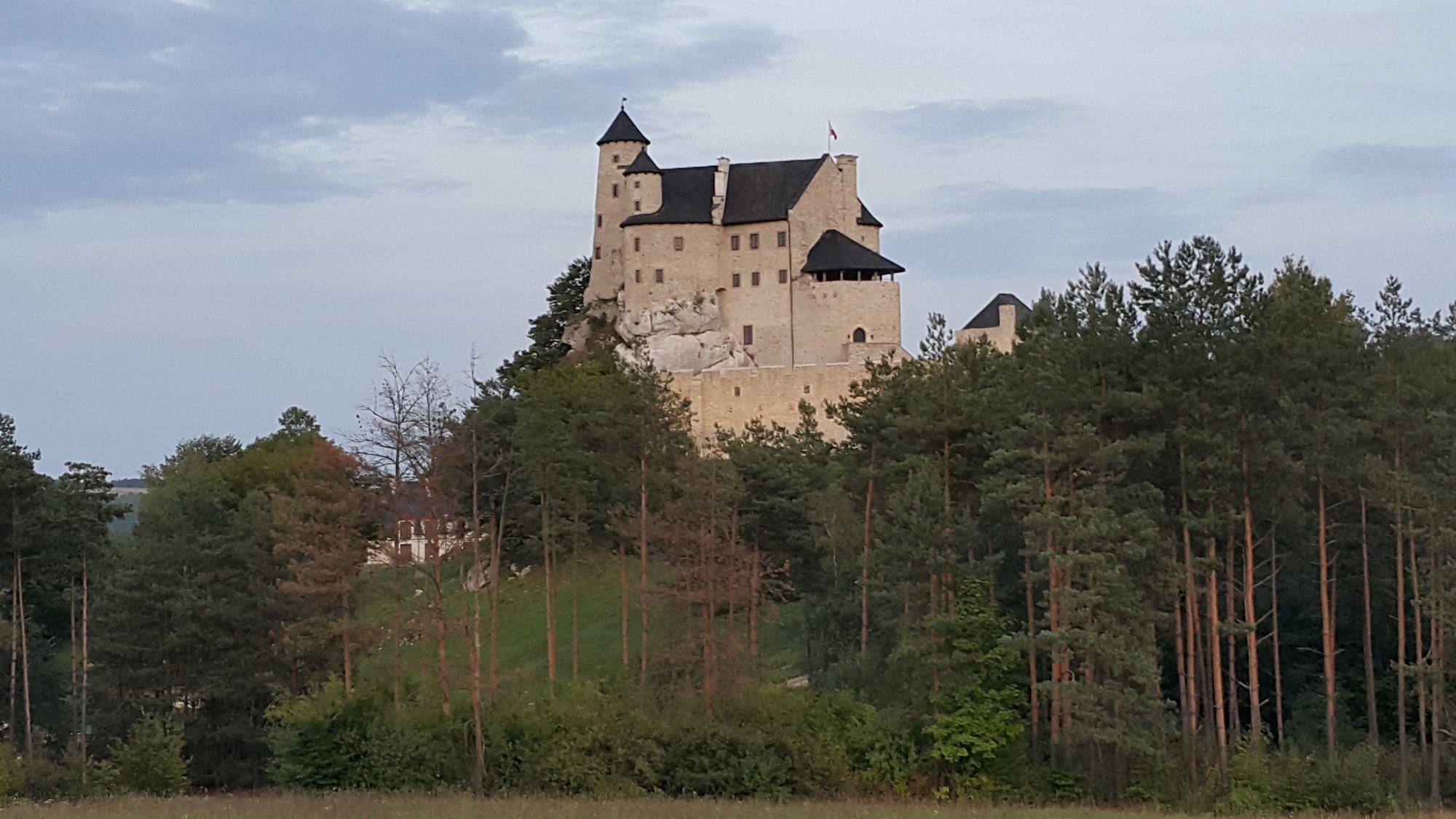 jeleniogorzanie-na-zlocie-dtmz-83278
