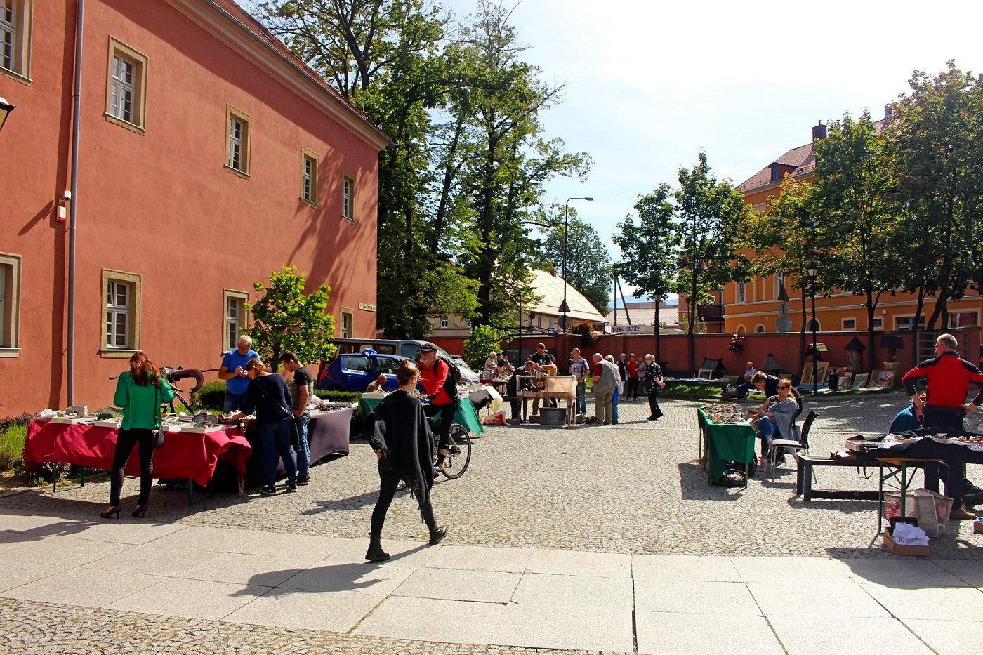 gieda-pod-muzeum-83345