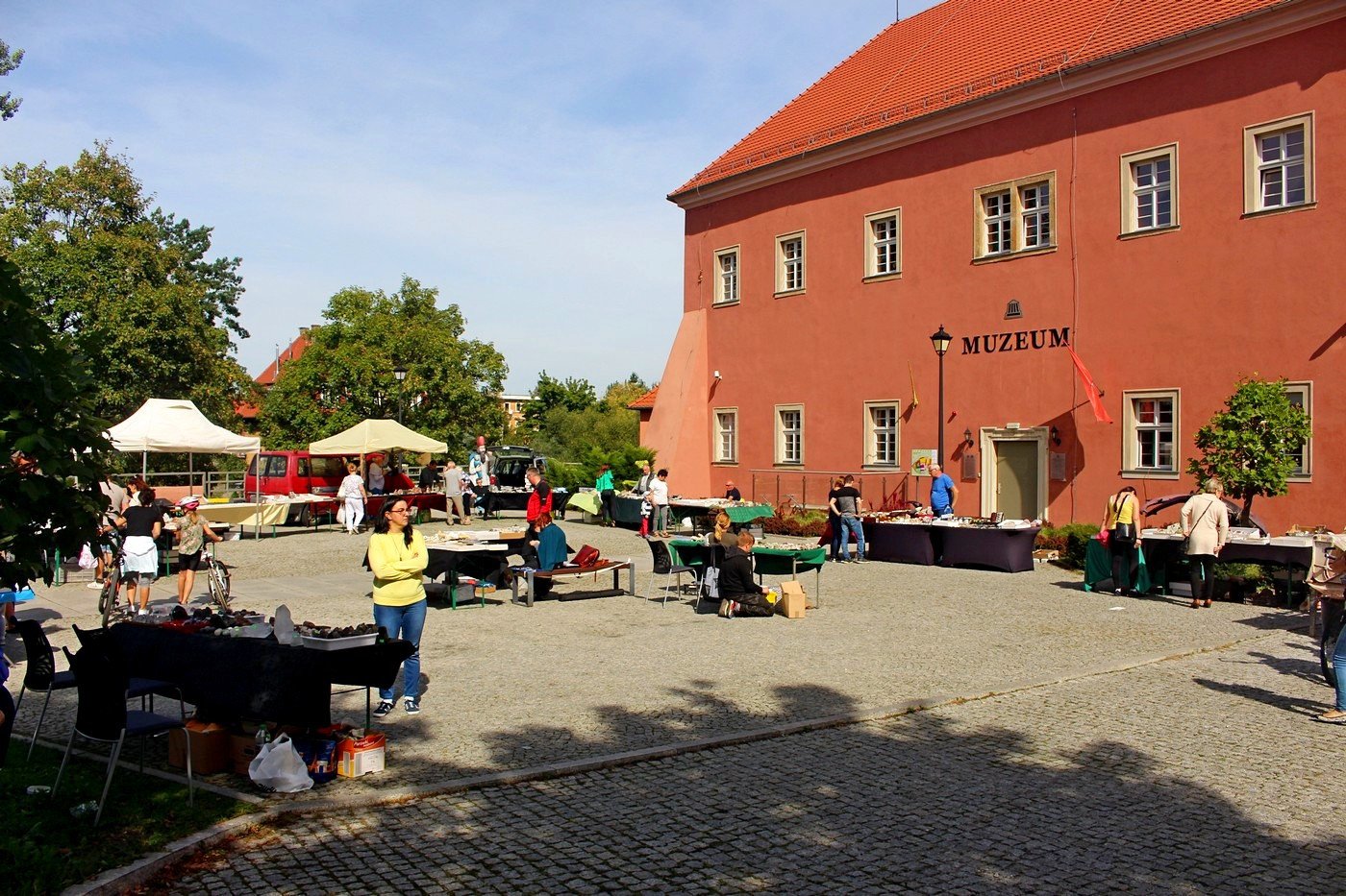 gieda-pod-muzeum-83345