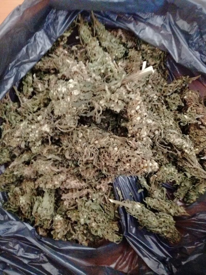 blisko-800-porcji-narkotykow-nie-trafi-do-sprzedazy-83349