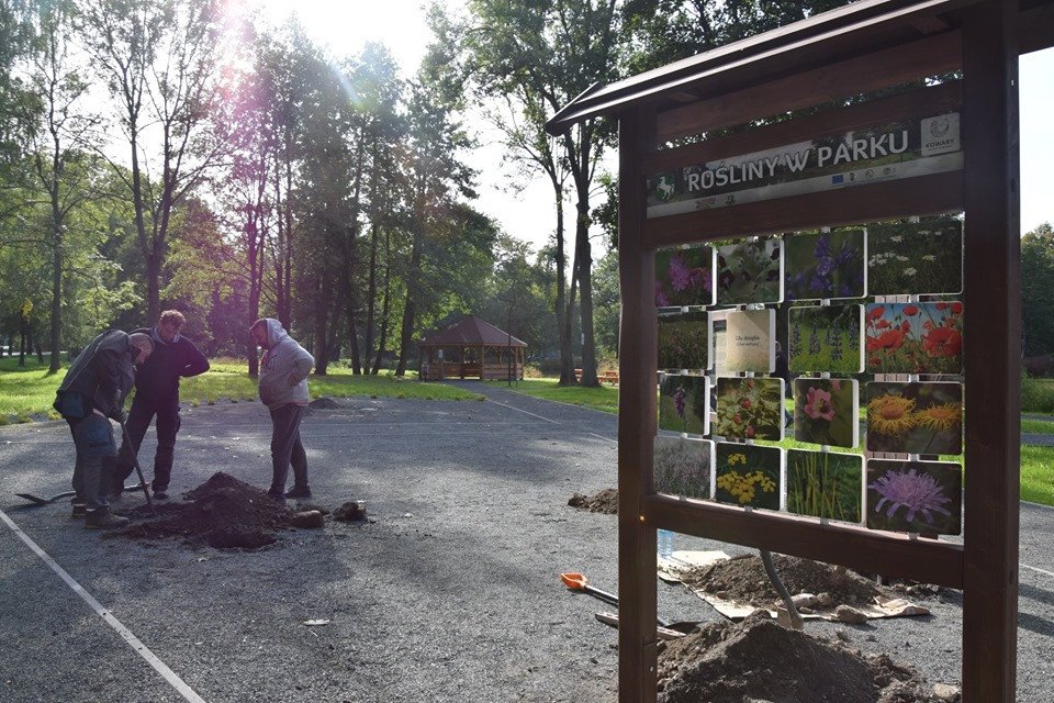 park-prawie-gotowy-83466