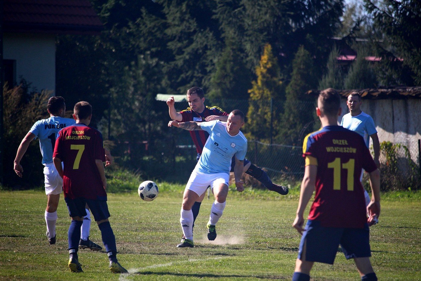 jelenia-gora-nie-dla-ora-83471