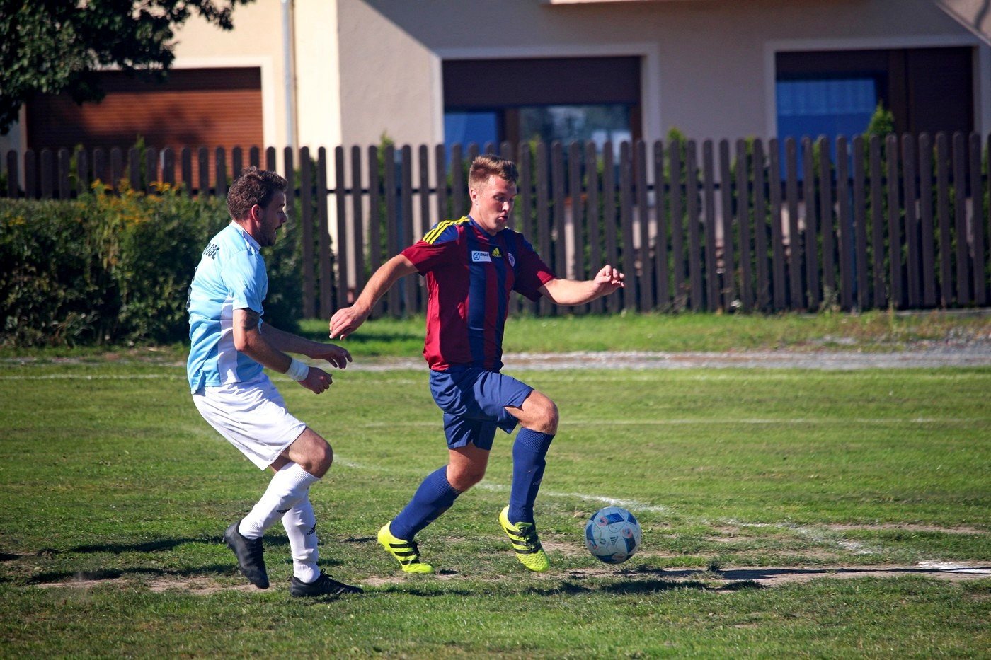 jelenia-gora-nie-dla-ora-83471